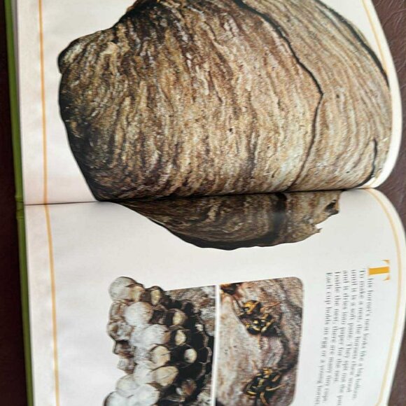 Vintage National geographic Books For Young Explorlers Set of 6 - Picture 15 of 16